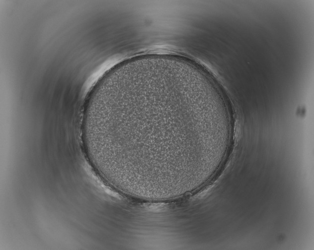 X0000111051410200907091622