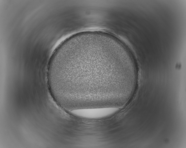 X0000111051412200907091623