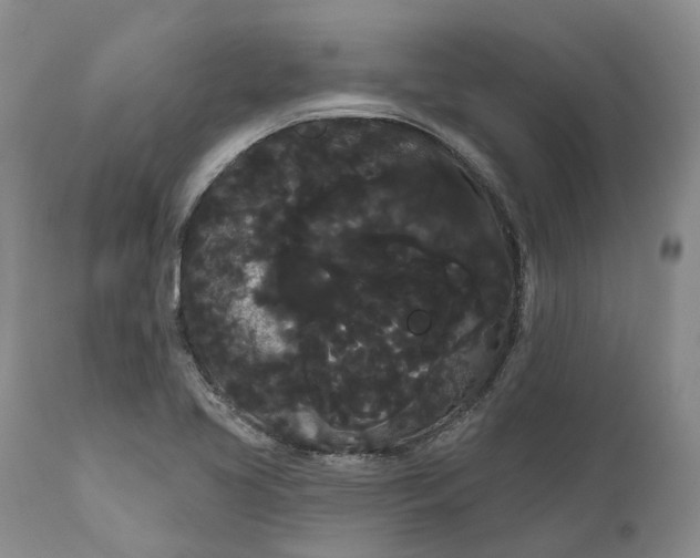 X0000111051413200907091623