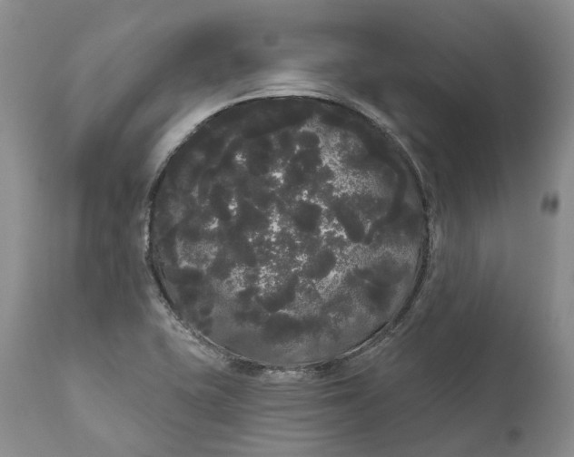 X0000111051415200907091623