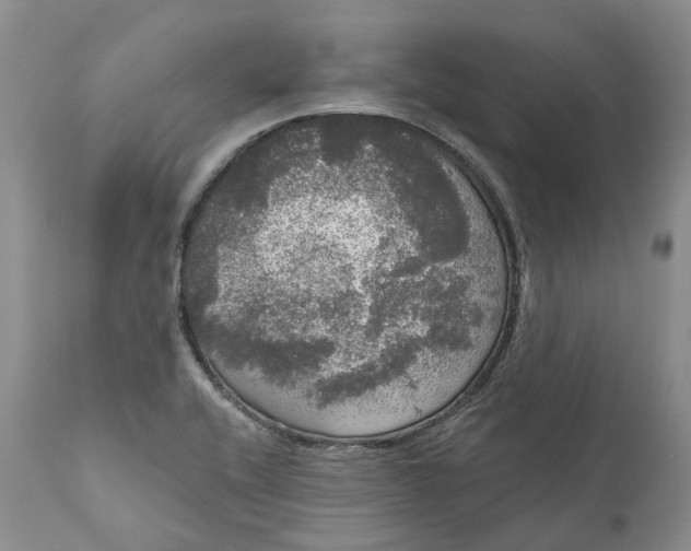 X0000111051416200907091623