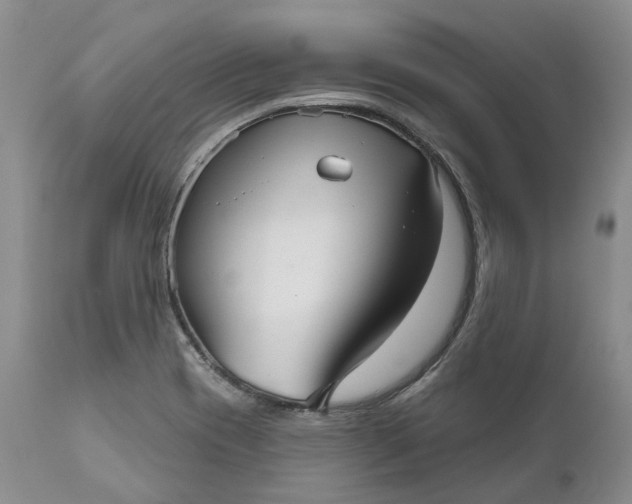 X0000111051417200907091623