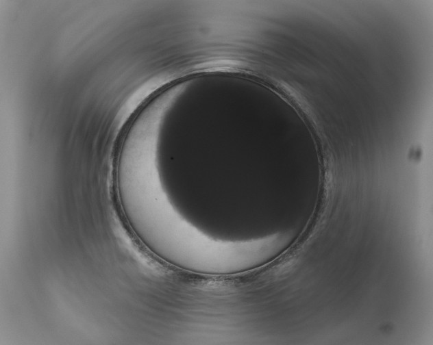 X0000111051418200907091623