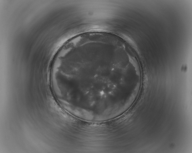 X0000111051419200907091623