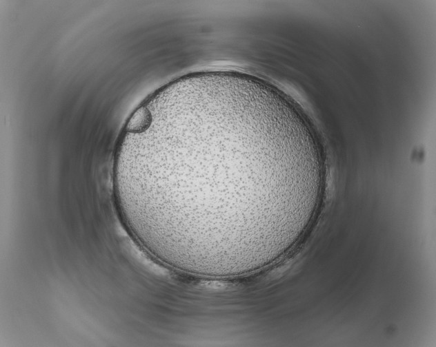 X0000111051420200907091623