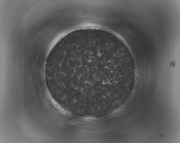 X0000111051421200907091623