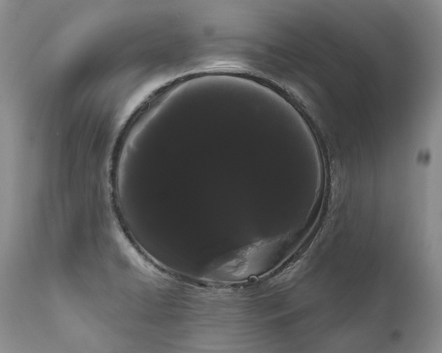 X0000111051422200907091623