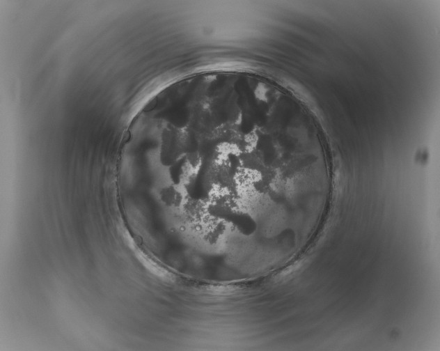 X0000111051425200907091623