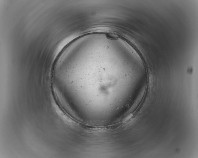 X0000111051426200907091623