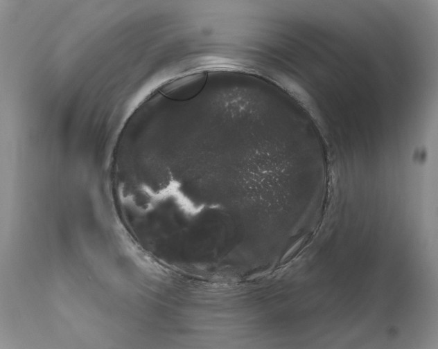 X0000111051427200907091623