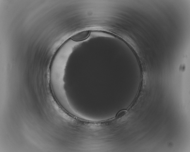 X0000111051428200907091623