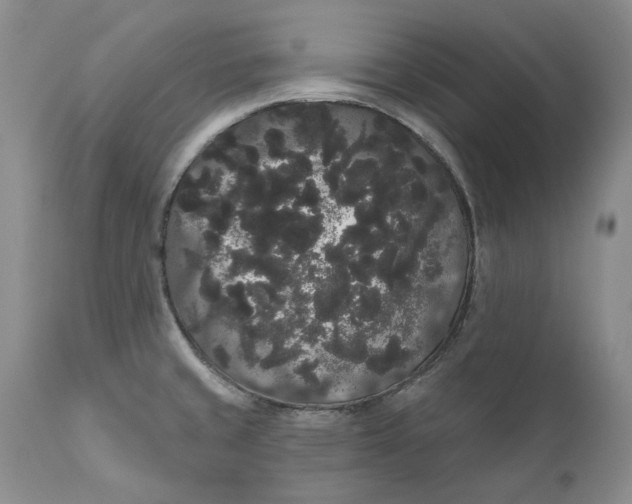 X0000111051429200907091623