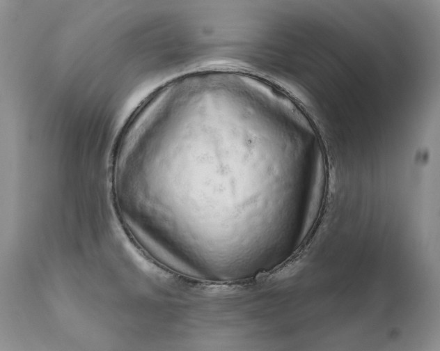 X0000111051430200907091623