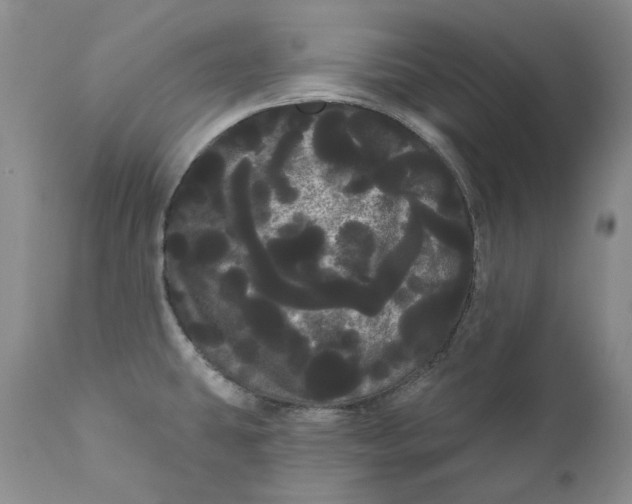 X0000111051431200907091623