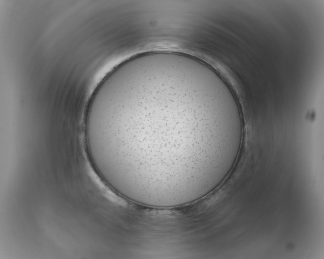 X0000111051432200907091623