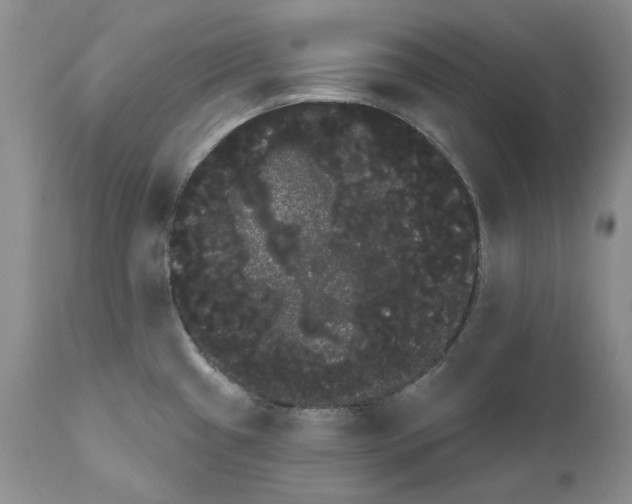 X0000111051433200907091623