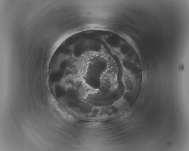 X0000111051435200907091623