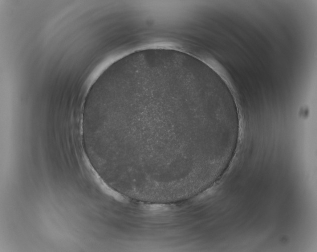 X0000111051436200907091623