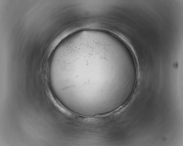 X0000111051437200907091623