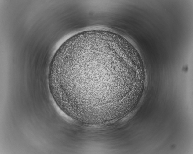 X0000111051438200907091623