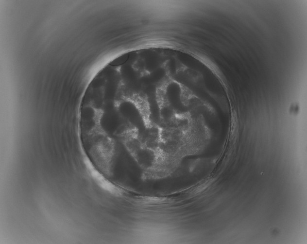 X0000111051439200907091623