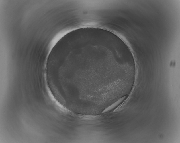 X0000111051440200907091623