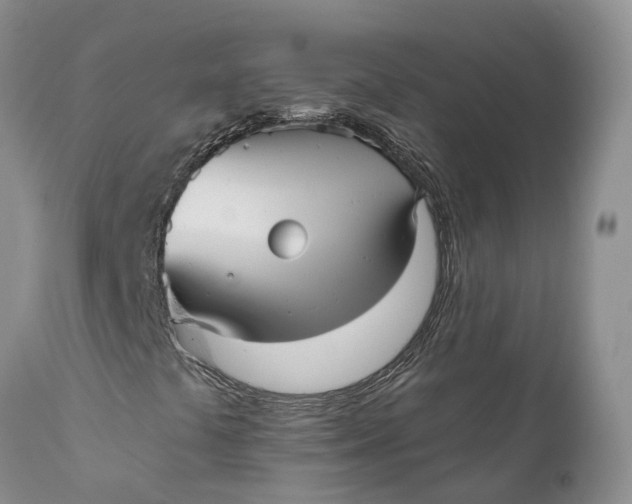 X0000111051441200907091622