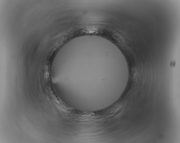 X0000111051442200907091622