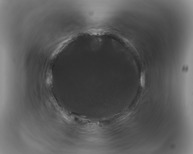 X0000111051444200907091622