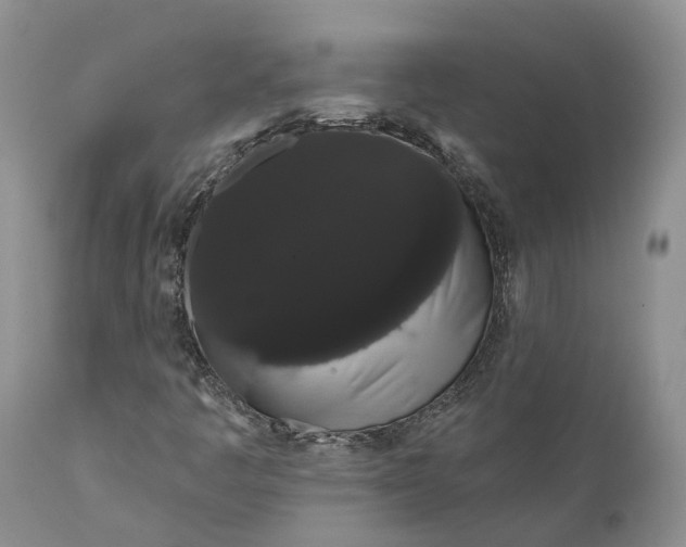 X0000111051445200907091622