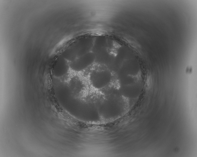 X0000111051446200907091622