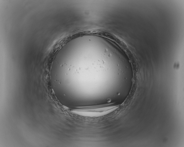 X0000111051447200907091622