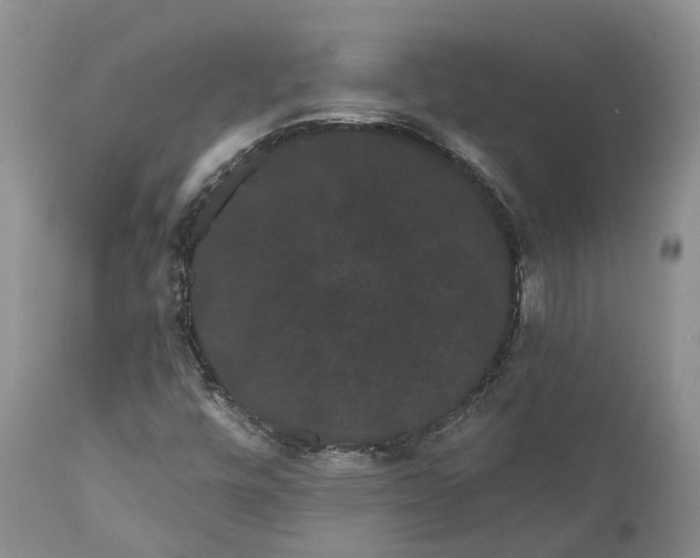 X0000111051448200907091622