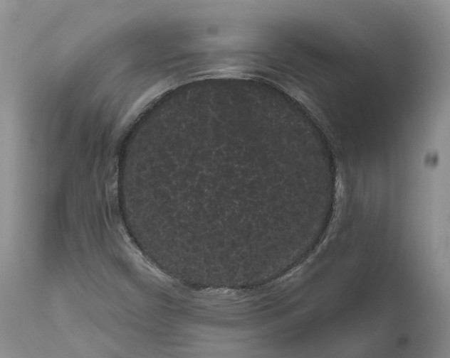 X0000111051450200907091622