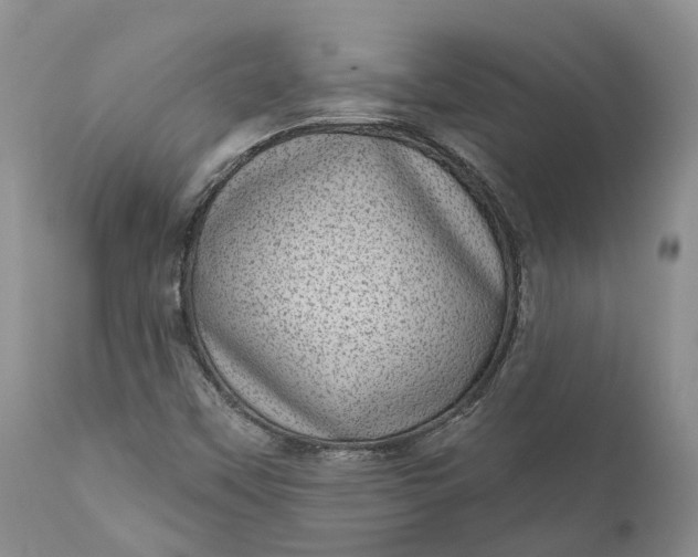 X0000111051451200907091622