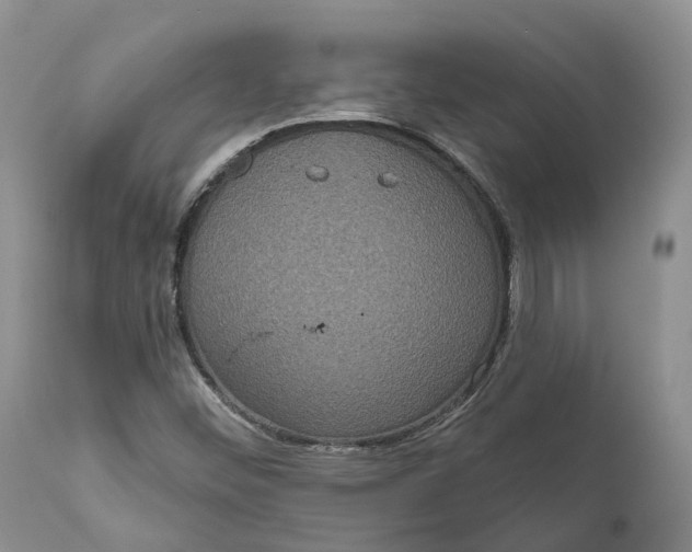 X0000111051452200907091622