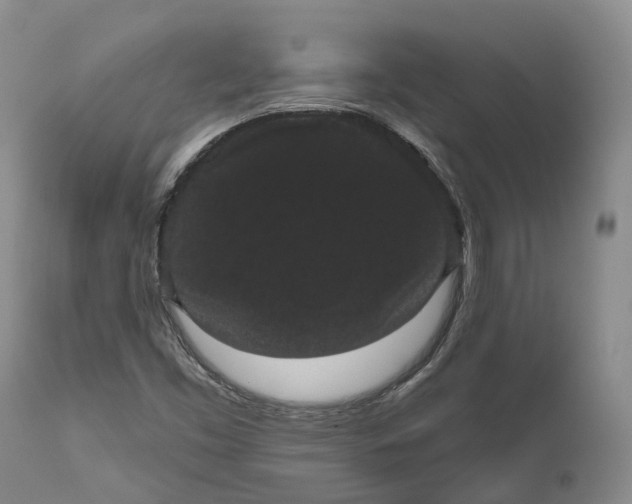 X0000111051453200907091622