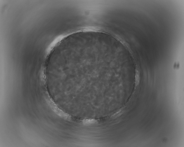 X0000111051454200907091622