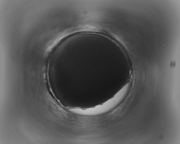 X0000111051455200907091622