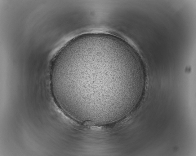 X0000111051456200907091622