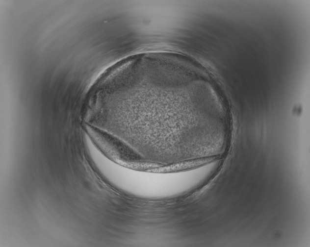 X0000111051457200907091622