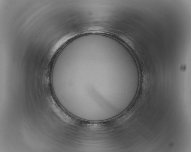 X0000111051458200907091622