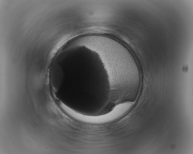 X0000111051459200907091622