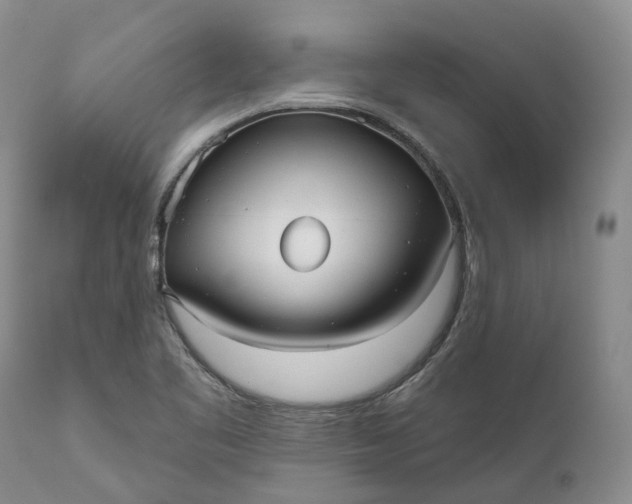 X0000111051461200907091622