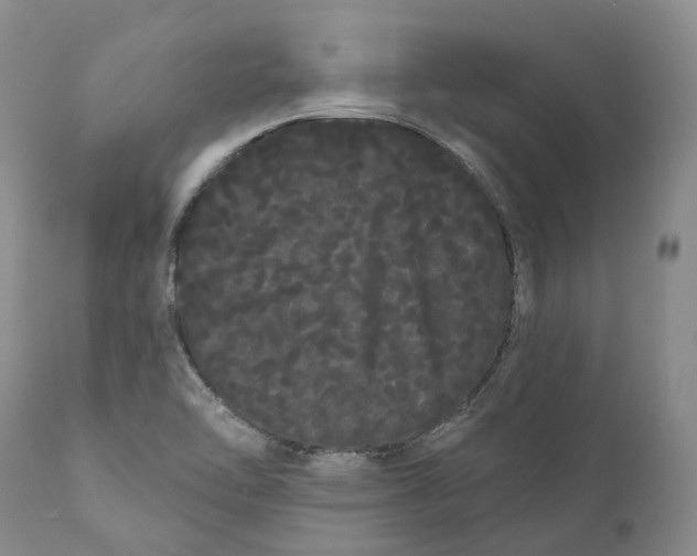 X0000111051462200907091622