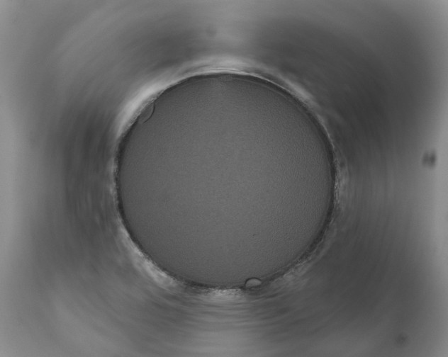 X0000111051464200907091622