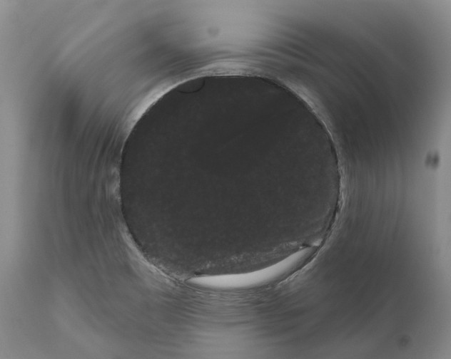 X0000111051465200907091622