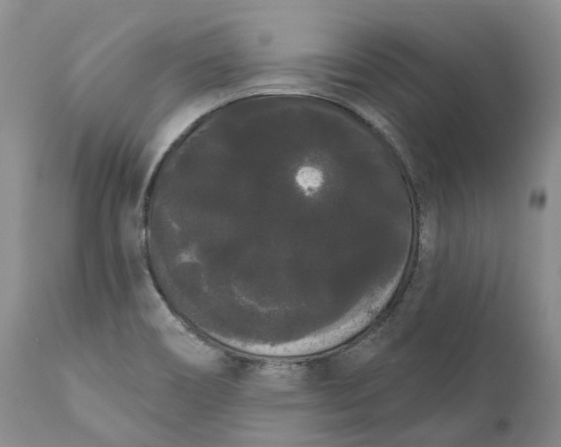 X0000111051466200907091622