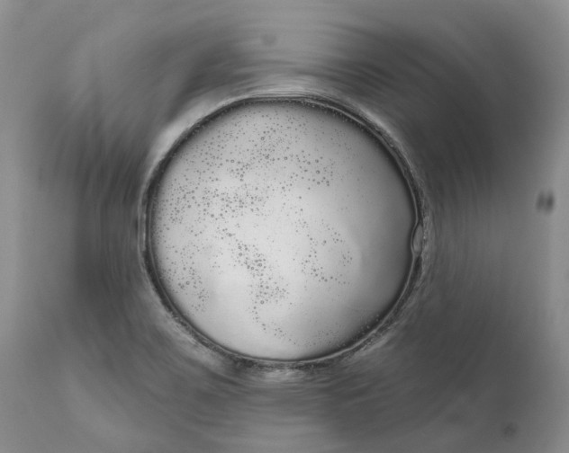 X0000111051467200907091622