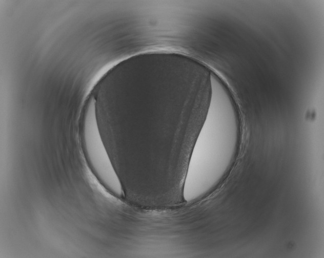 X0000111051468200907091622